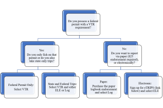 flowchart about reporting catches