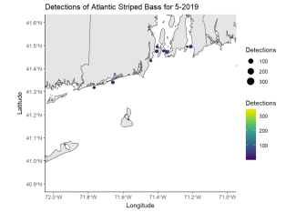 Detections of Atlantic Striped Bass 5-2019