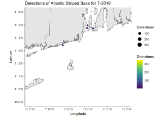 Detections of Atlantic Striped Bass 7-2019