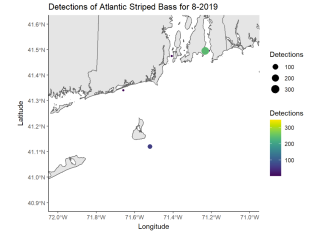 Detections of Atlantic Striped Bass 8-2019