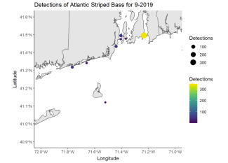 Detections of Atlantic Striped Bass 9-2019