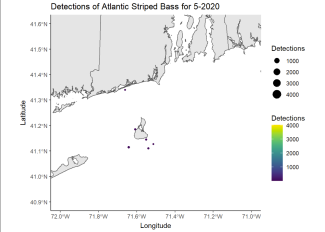 Detections of Atlantic Striped Bass 5-2020
