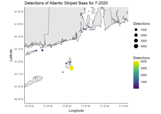 Detections of Atlantic Striped Bass 7-2020