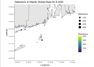 Detections of Atlantic Striped Bass 8-2020
