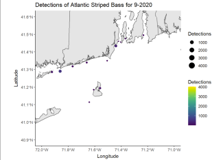 Detections of Atlantic Striped Bass 9-2020