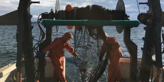 two people opening a fishing net
