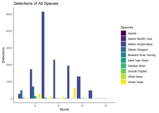 Detection of All Species