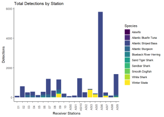 Total Detections by Station