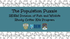 The Population Puzzle RIDEM division of Fish and Wildlife Rhody Critter Kits Program