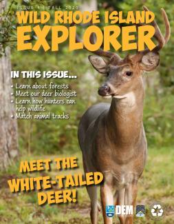 Wild RI Explorer cover with Meet the White-Tailed Deer