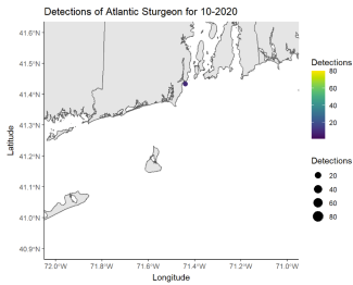Detections of Atlantic Sturgeon 10/20