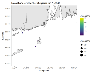 Detections of Atlantic Sturgeon 7/20