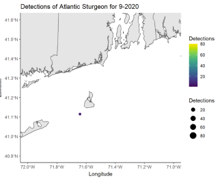 Detections of Atlantic Sturgeon 9/20