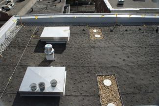 Brown University roof
