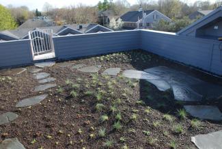 The green roof on Environmental Packaging International, Jamestown