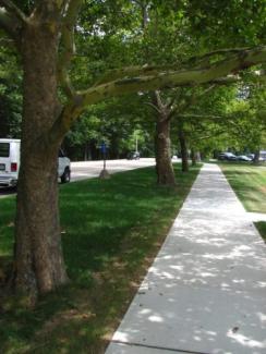 Street trees are located within the right-of-way, South Kingstown