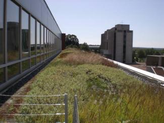 Partially vegetated green roof