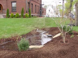 water pooling in mulch