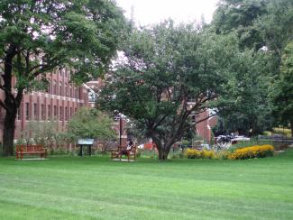 landscaping with open grassy area, trees and yellow flowers next to brick building