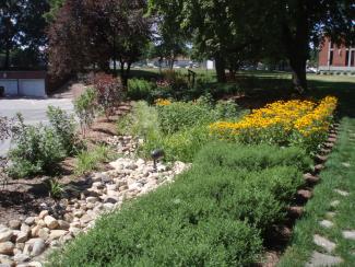 garden bed with green plants, yellow flowers and rocks
