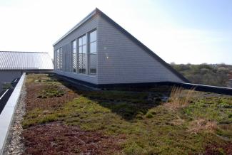 Potter League for Animals green roof