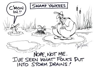 Swamp Yank Storm Drains Cmon In