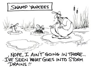 Swamp Yank Strom Drains