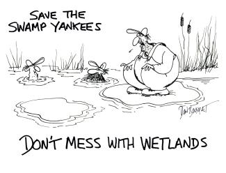 Swamp Yank Wetlands