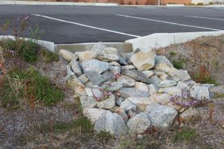 rocky area in a parking lot