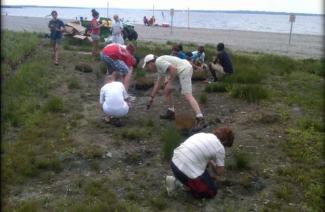 Volunteers planting a native buffer