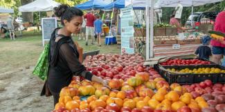 Person looking at a apples at a stand at a Farmer's Market