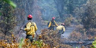 firefighters using a hose in a smokey area