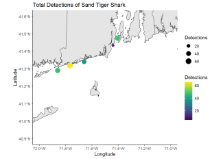 Total Detections of Sand Tiger Shark