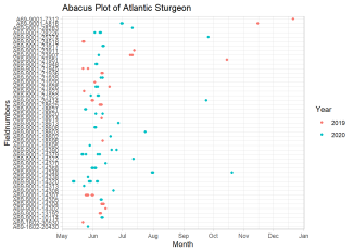 Abacus Plot of Atlantic Sturgeon