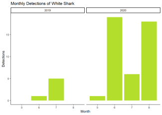 Monthly Detections of White Shark