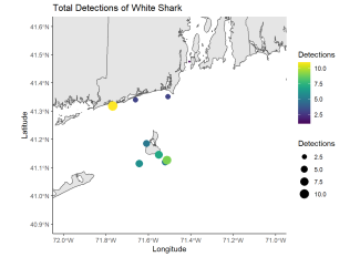 Total Detections of White Shark
