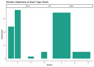 Monthly Detections of Sand Tiger Shark