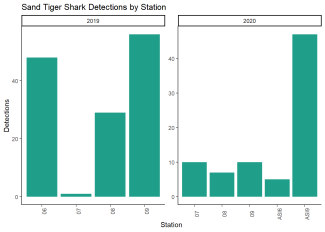 Sand Tiger Shark Detections by Station