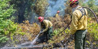 firefighters using hose on charred wood