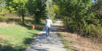 person and dog walking along sidewalk surrounded by trees