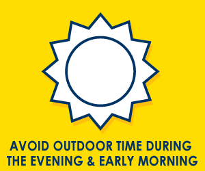 avoid outdoor time during the evening and early morning
