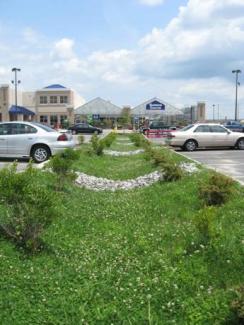 The bio-infiltration trenches at the North Kingstown Lowes