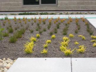 Roger Williams University Marine and Natural Science Building