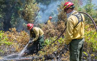 Forestry staff conduct a controlled burn at Nicholas Farm Conservation Area