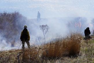 Firefighters monitor flames during a prescribed burn.