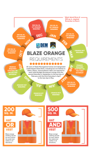 Blaze Orange Requirements Graph