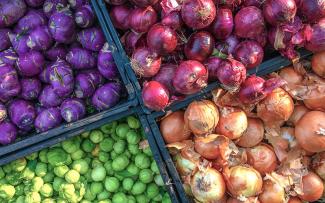 Bins of produce including yellow onions, purple potatoes, and bright green brussel sprouts