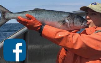 Commercial fisher holds a bluefish up to her mouth in mock kiss while wearing an RI seafood hat